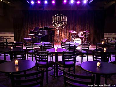 Birdland Theater interior