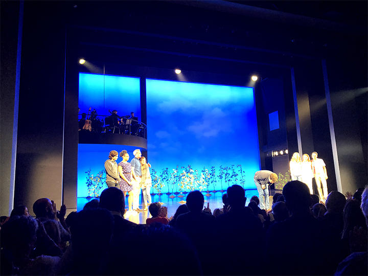 A well deserved standing ovation