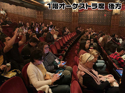 Rear of the orchestra level