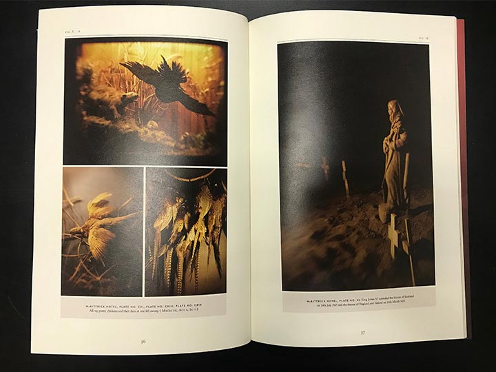 Official guidebook sold inside for 20 USD