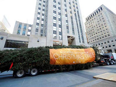 The 12-ton Christmas tree being delivered by truck