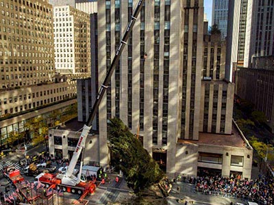 Installing the tree by crane