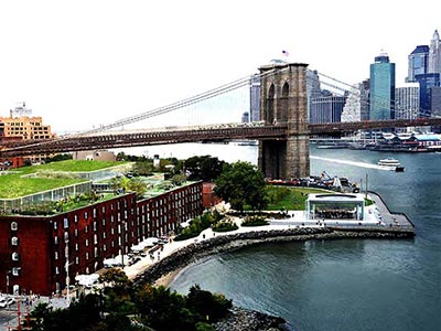 Dumbo neighborhood