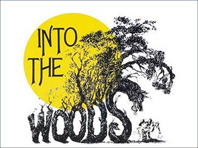 Into the Woods - Broadway musical discount ticket