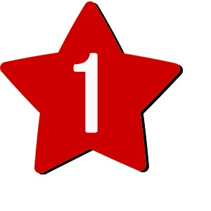 Flower button icon1