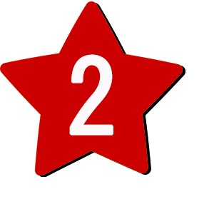 Flower button icon2