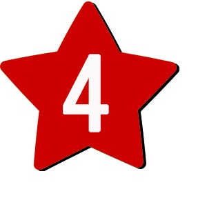 Flower button icon