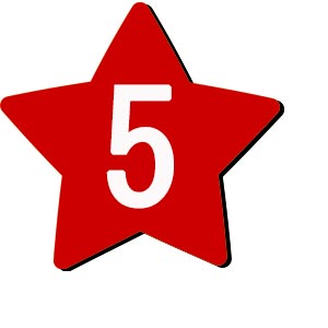 Flower button icon
