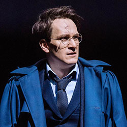 Harry Potter and the Cursed Child Broadway character Harry Potter