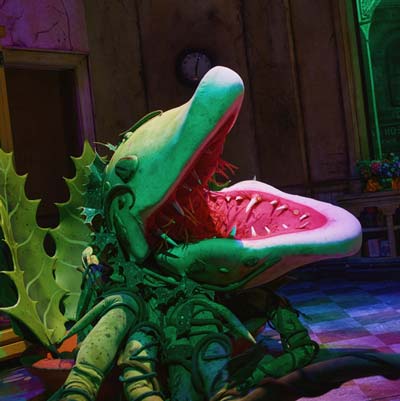 Audrey II, a character in Little Shop of Horrors the musical