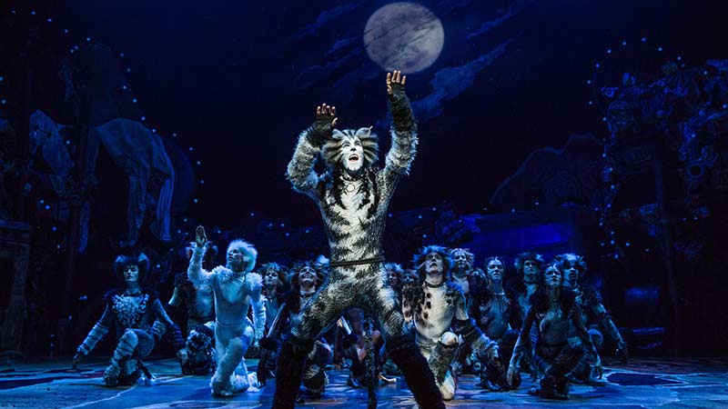 Cats - Broadway Musical Tickets at Discount Prices
