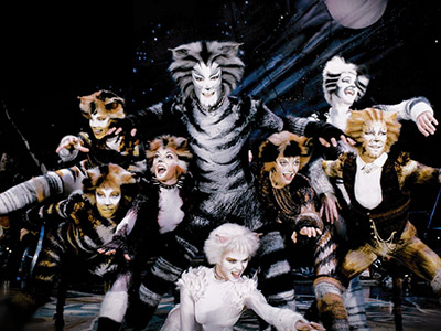 Broadway Cats musical highlights